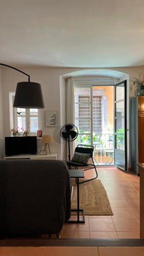 Apartamento con encanto y terraza en Barri Vell de Girona, El Cul de la Lleona